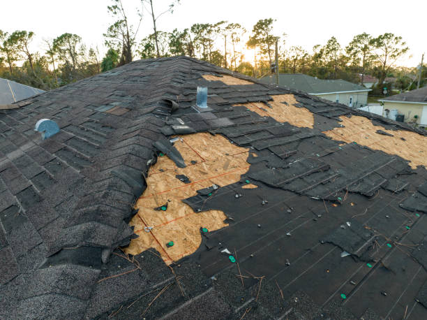 Best Rubber Roofing (EPDM, TPO)  in Spotsylnia Courthouse, VA