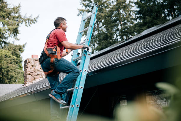 Best Skylight Installation and Repair  in Spotsylnia Courthouse, VA