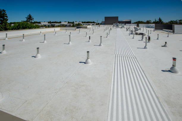 Best Steel Roofing  in Spotsylnia Courthouse, VA